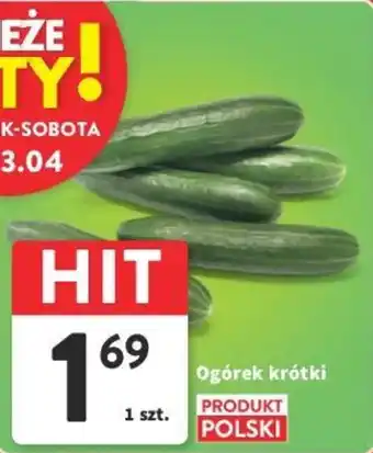 Intermarche Ogórek krótki oferta