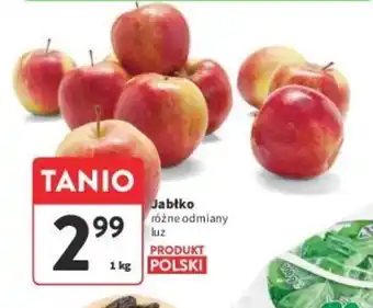 Intermarche Jabłko 1 kg oferta