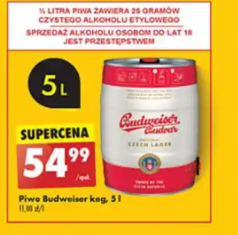 Biedronka Piwo Budweiser keg, 5 l oferta