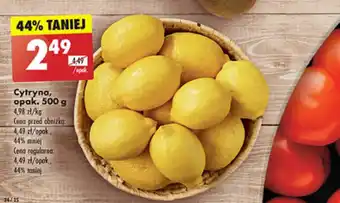Biedronka Cytryna, 500 g oferta