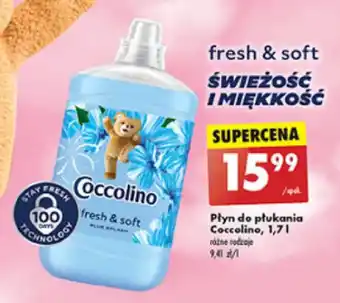 Biedronka Płyn do płukania Coccolino, 1,7 l oferta
