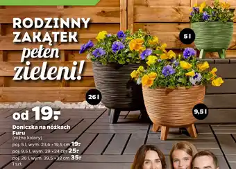 Netto Doniczka na nóżkach Furu oferta