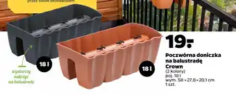 Netto Poczwórna doniczka na balustradę Crown oferta