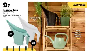 Netto Konewka Coubi oferta