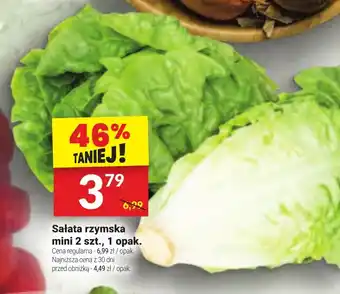 Twój Market Sałata rzymska mini 2 szt. oferta