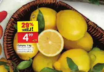 Twój Market Cytryna, 1 kg oferta