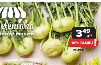 Netto Kalarepa oferta