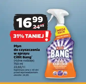 Netto Płyn do czyszczenia w sprayu Cillit Bang oferta