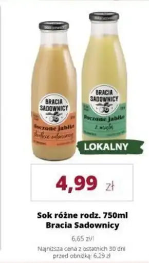 Torimpex Sok Bracia Sadownicy oferta