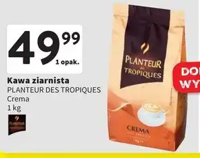 Intermarche Kawa ziarnista oferta