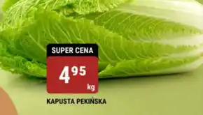 bi1 Kapusta pekińska oferta