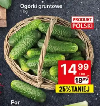 Delikatesy Centrum Ogórki gruntowe 1 kg oferta