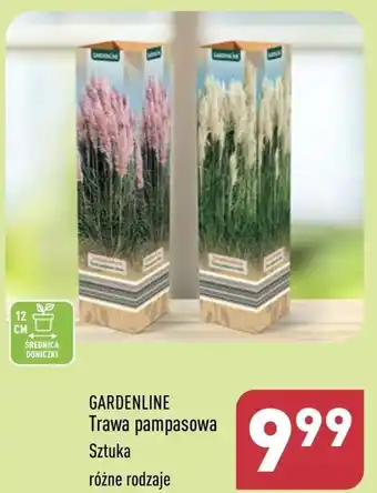 ALDI Trawa Gardenline oferta