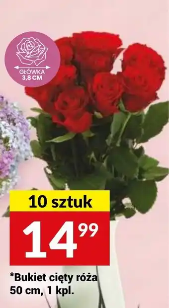 Twój Market Bukiet cięty róża 50 cm, 10 szt. oferta