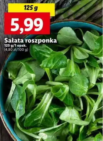 Lidl Sałata roszponka 125 g oferta