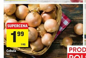 Intermarche Cebula oferta