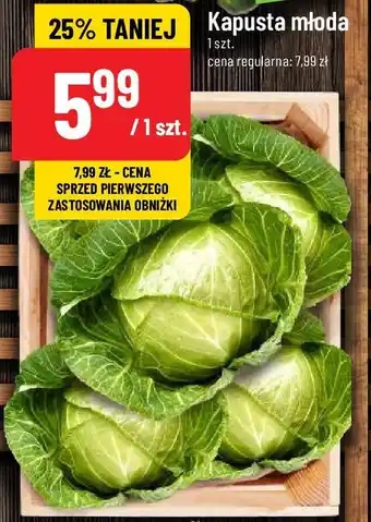 Polomarket Kapusta młoda oferta