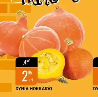 bi1 Dynia hokkaido oferta