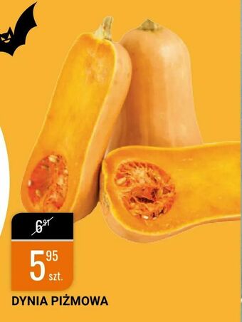 bi1 Dynia piżmowa oferta
