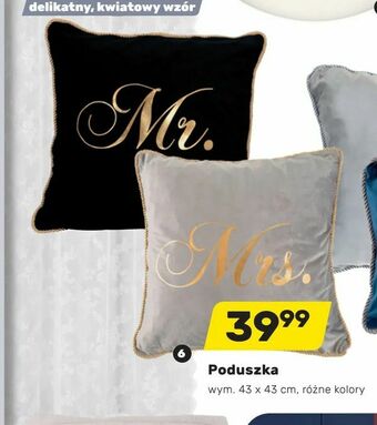 Bricomarche Poduszka oferta