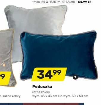 Bricomarche Poduszka oferta