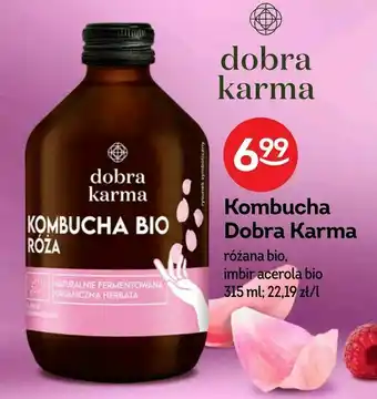 Żabka Kombucha Dobra Karma oferta