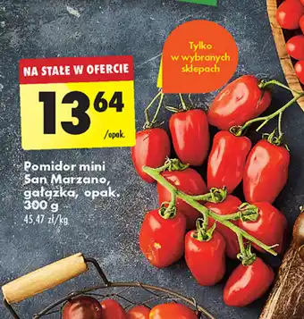 Biedronka Pomidor mini San Marzano, gałązka, opak. 300 g oferta