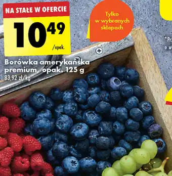 Biedronka Borówka amerykańska premium, opak. 125 g oferta