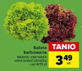 Carrefour Sałata karbowana oferta