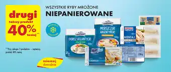 Biedronka WSZYSTKIE RYBY MROŻONE NIEPANIEROWANE oferta