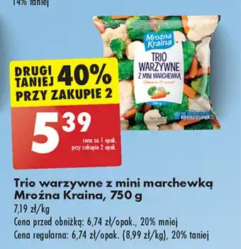 Biedronka Trio warzywne z mini marchewką Mroźna Kraina, 750 g oferta