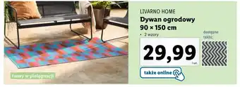 Lidl Dywan Livarno oferta