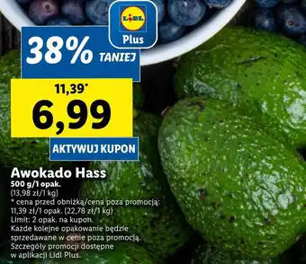 Lidl Awokado Lidl oferta