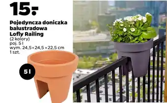 Netto Doniczka oferta