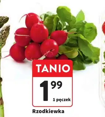 Intermarche Rzodkiewka pęczek oferta