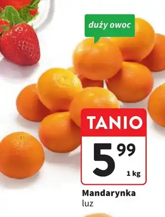 Intermarche Mandarynka 1 kg oferta