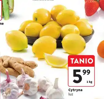 Intermarche Cytryna 1kg oferta