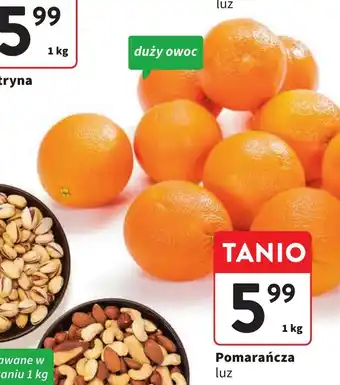Intermarche Pomarańcza 1kg oferta