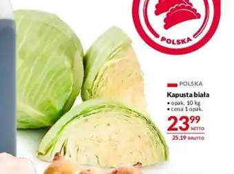 Makro Kapusta biała 10 kg oferta