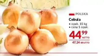 Makro Cebula 15 kg oferta