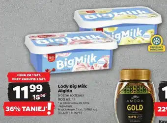 Netto Lody Big Milk Algida 900 ml oferta