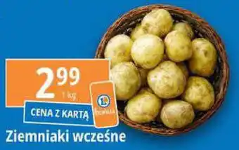 E.Leclerc Ziemniaki wcześne 1 kg oferta