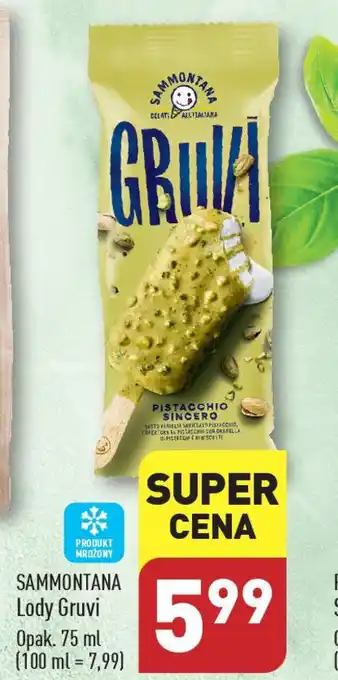 ALDI SAMMONTANA Lody Gruvi 75 ml oferta