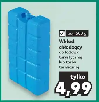 Kaufland Wkład do lodówki turystycznej oferta