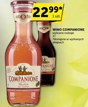 Groszek Wino Companione oferta