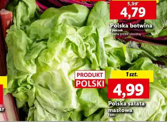 Lidl Polska sałata masłowa oferta