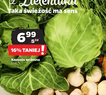 Netto Kapusta wczesna oferta