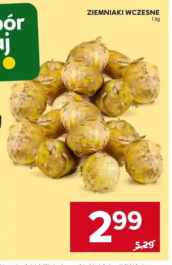 Stokrotka ZIEMNIAKI WCZESNE 1 kg oferta