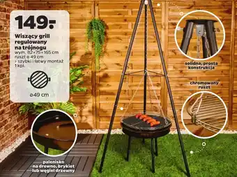 Netto Grill oferta