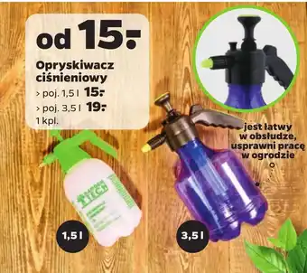 Netto Opryskiwacz ciśnieniowy oferta